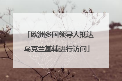 欧洲多国领导人抵达乌克兰基辅进行访问