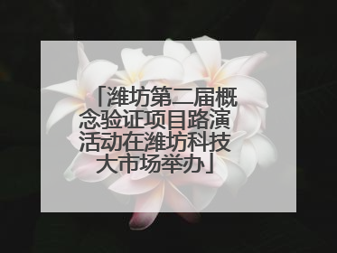 潍坊第二届概念验证项目路演活动在潍坊科技大市场举办