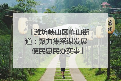 潍坊峡山区岞山街道：聚力集采谋发展 便民惠民办实事