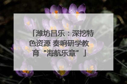 潍坊昌乐：深挖特色资源 奏响研学教育“海航乐章”