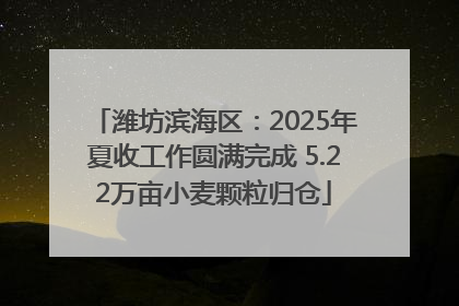 潍坊滨海区:2025年夏收工作圆满完成 5.22万亩小麦颗粒归仓
