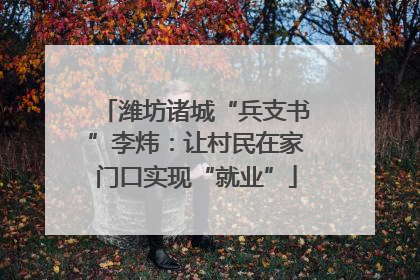 潍坊诸城“兵支书”李炜：让村民在家门口实现“就业”