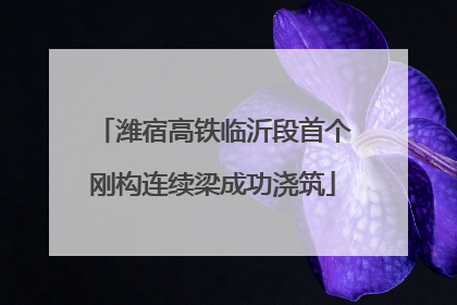 潍宿高铁临沂段首个刚构连续梁成功浇筑