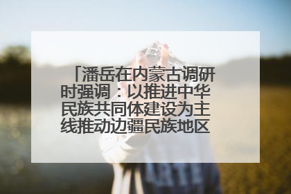 潘岳在内蒙古调研时强调：以推进中华民族共同体建设为主线推动边疆民族地区高质量发展