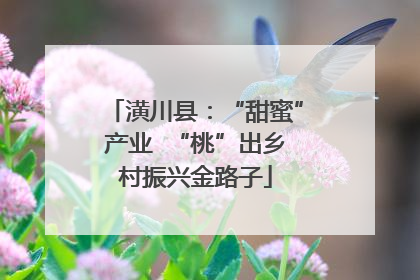 潢川县：“甜蜜”产业  “桃”出乡村振兴金路子