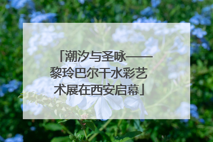 潮汐与圣咏——黎玲巴尔干水彩艺术展在西安启幕
