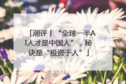 潮评丨“全球一半AI人才是中国人”，秘诀是“投资于人”