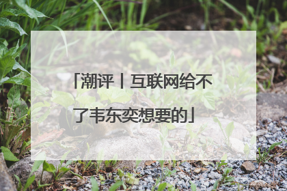 潮评丨互联网给不了韦东奕想要的