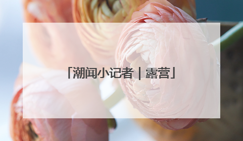 潮闻小记者｜露营