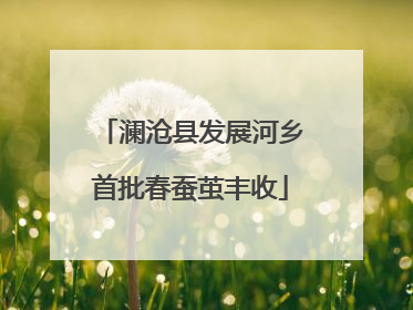 澜沧县发展河乡首批春蚕茧丰收