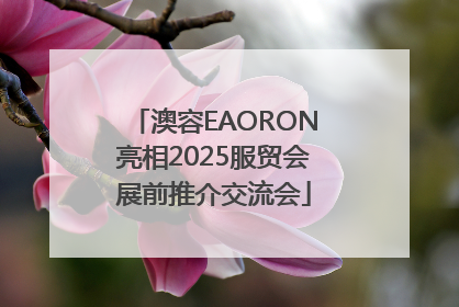 澳容EAORON亮相2025服贸会展前推介交流会