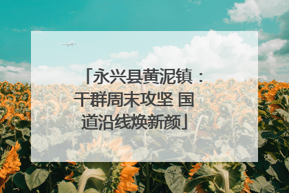 永兴县黄泥镇：干群周末攻坚 国道沿线焕新颜