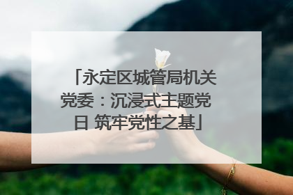 永定区城管局机关党委：沉浸式主题党日 筑牢党性之基