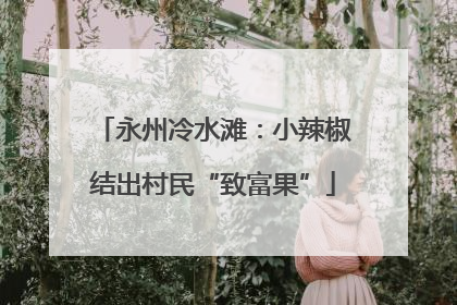 永州冷水滩：小辣椒结出村民“致富果”