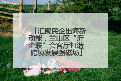 汇聚民企出海新动能，兰山区“沂企联”会客厅打造跨境发展强磁场