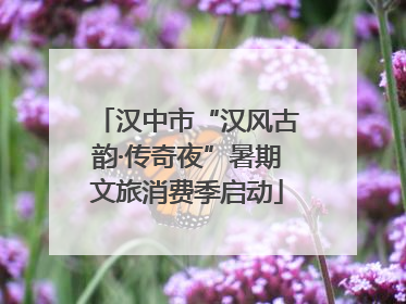 汉中市“汉风古韵·传奇夜”暑期文旅消费季启动
