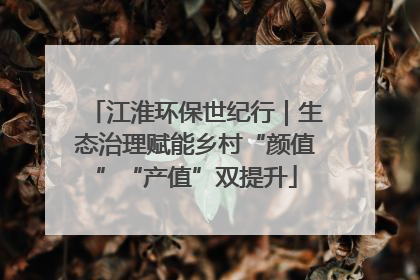 江淮环保世纪行｜生态治理赋能乡村“颜值”“产值”双提升