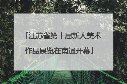 江苏省第十届新人美术作品展览在南通开幕