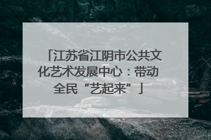 江苏省江阴市公共文化艺术发展中心：带动全民“艺起来”