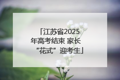 江苏省2025年高考结束 家长“花式”迎考生