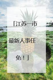 江苏一市最新人事任免！