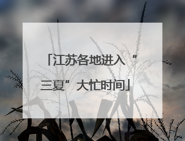 江苏各地进入“三夏”大忙时间