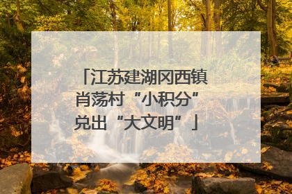 江苏建湖冈西镇肖荡村“小积分”兑出“大文明”