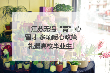 江苏无锡“青”心留才 多项暖心政策礼遇高校毕业生