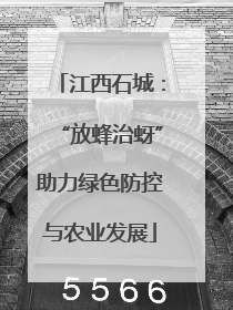 江西石城：“放蜂治蚜”助力绿色防控与农业发展