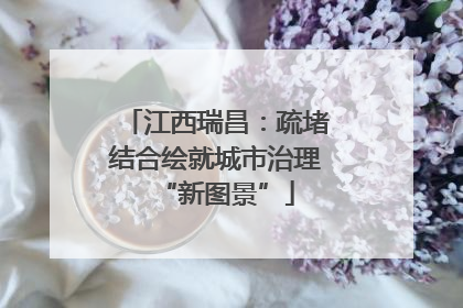 江西瑞昌：疏堵结合绘就城市治理“新图景”