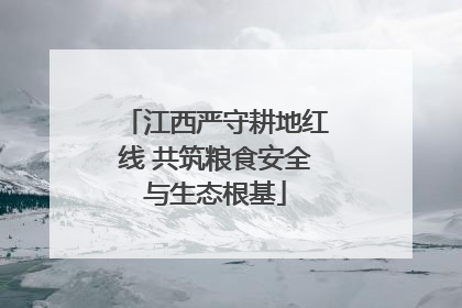 江西严守耕地红线 共筑粮食安全与生态根基