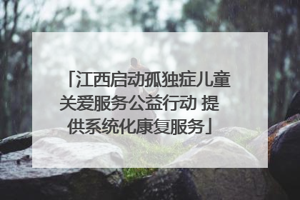 江西启动孤独症儿童关爱服务公益行动 提供系统化康复服务