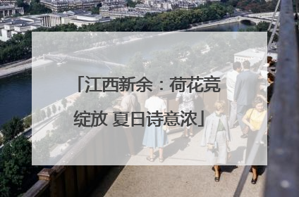 江西新余：荷花竞绽放 夏日诗意浓