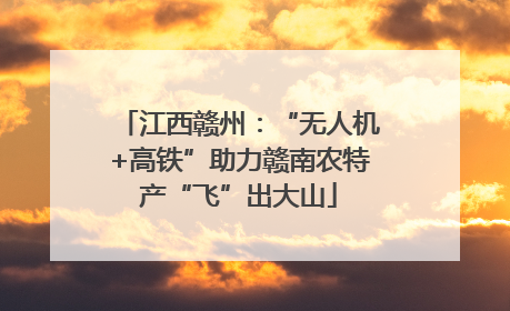 江西赣州：“无人机+高铁”助力赣南农特产“飞”出大山