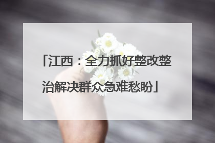 江西：全力抓好整改整治解决群众急难愁盼