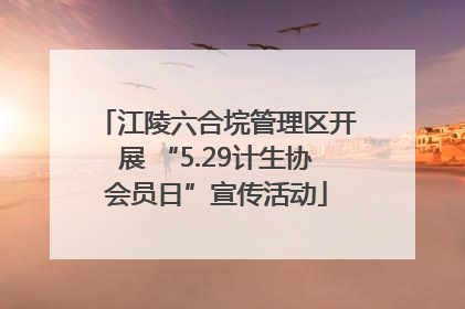 江陵六合垸管理区开展 “5.29计生协会员日”宣传活动