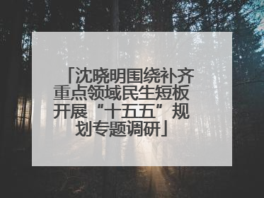 沈晓明围绕补齐重点领域民生短板开展“十五五”规划专题调研