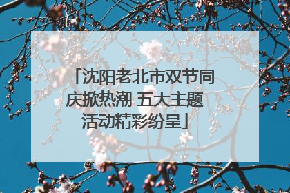 沈阳老北市双节同庆掀热潮 五大主题活动精彩纷呈