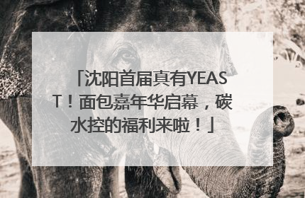 沈阳首届真有YEAST！面包嘉年华启幕，碳水控的福利来啦！