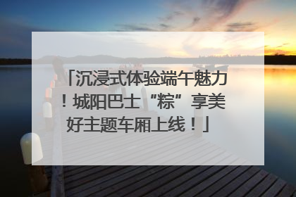 沉浸式体验端午魅力！城阳巴士“粽”享美好主题车厢上线！