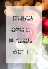 沉浸式法治体验 别样“法治儿童节”