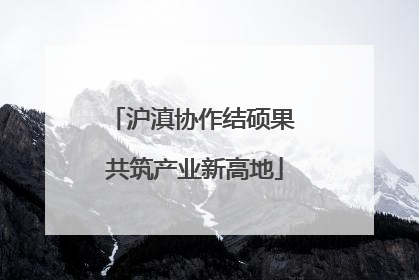 沪滇协作结硕果 共筑产业新高地
