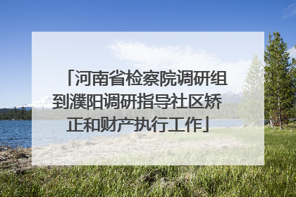 河南省检察院调研组到濮阳调研指导社区矫正和财产执行工作