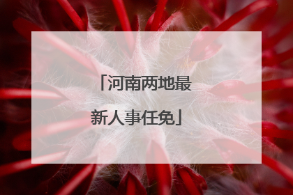 河南两地最新人事任免