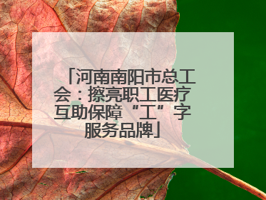 河南南阳市总工会：擦亮职工医疗互助保障“工”字服务品牌