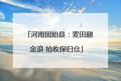 河南固始县：麦田翻金浪 抢收保归仓