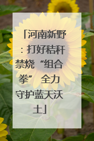 河南新野：打好秸秆禁烧“组合拳” 全力守护蓝天沃土