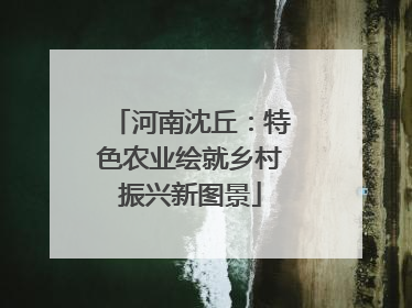 河南沈丘：特色农业绘就乡村振兴新图景