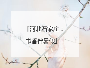 河北石家庄：书香伴暑假