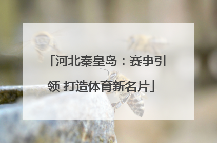 河北秦皇岛：赛事引领 打造体育新名片